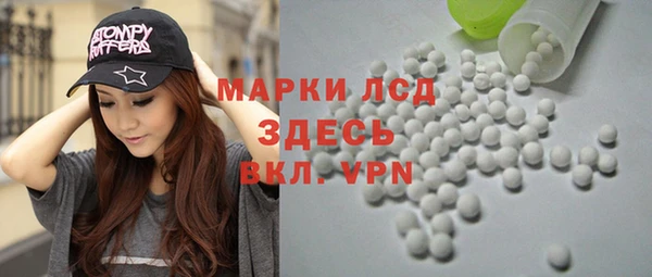 стафф Новозыбков