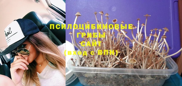 марихуана Новокубанск