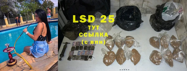 стафф Новозыбков