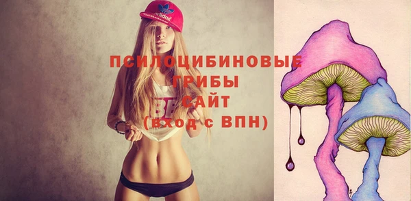 стафф Новозыбков