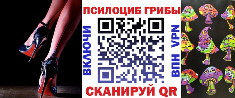 Псилоцибиновые грибы Psilocybe  Катав-Ивановск 